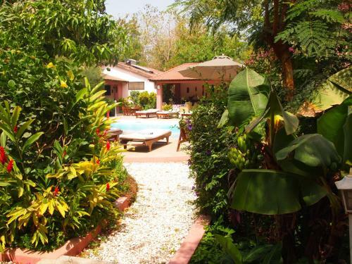 Hostal Hibiscus House Gambia