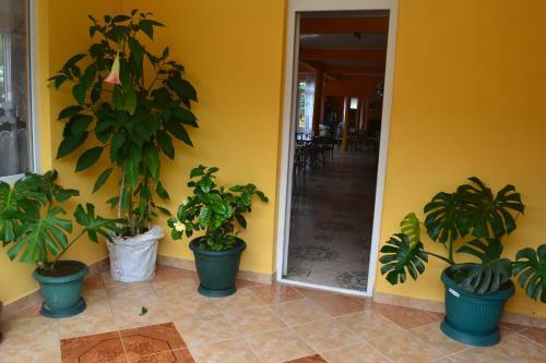 Hostal Kvariati Grand Guest House