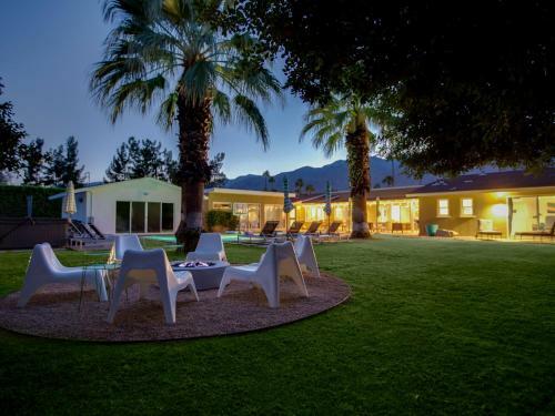 Modern Pura Vida By Oranj Palm
