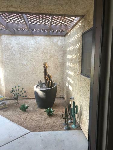 Desert Oasis