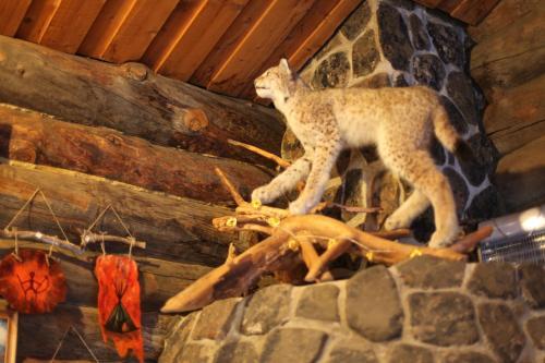 Bed & Breakfast Nelj�n Tuulen Tupa