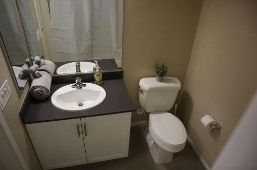 Luxury Apartment In Downtown Sunnyvale