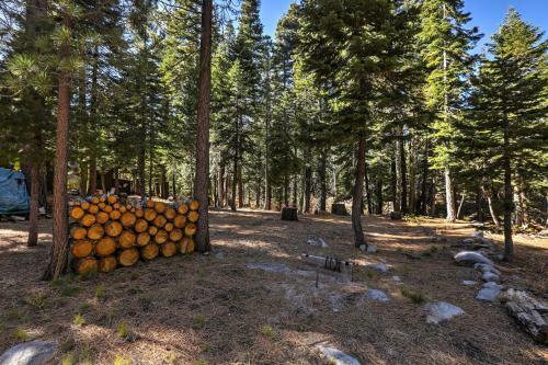 Gorgeous A-frame Cabin With Deck - 1 Mi To Lake Tahoe