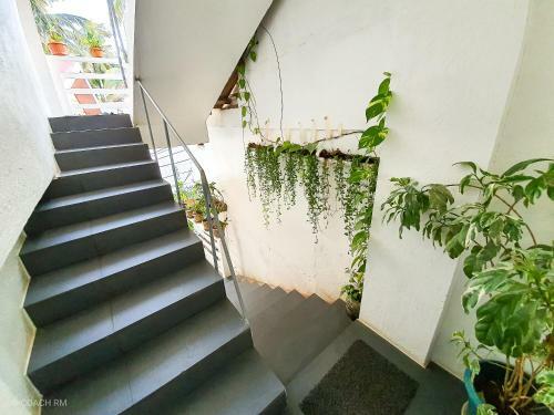 Hostal 8 Colors Beach House Resort