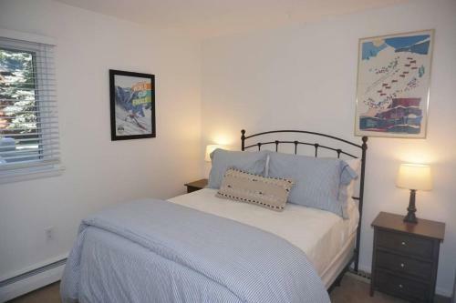 Great Value Condominium In The Heart Of Aspen