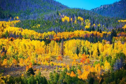 New Listing! Blue River Gem With Mountain-view Deck Home