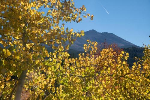 Woods Red Oak Townhome Hot Tub Sleeps 11