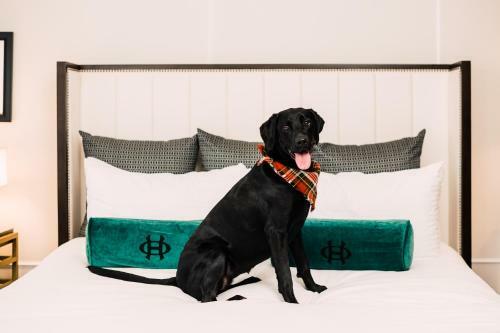 The Oxford Hotel Downtown Denver