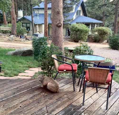 Bed & Breakfast Romantic Riversong Inn