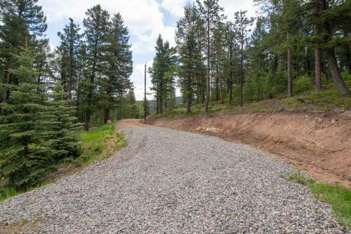 Modern Evergreen Cabin On 35 Acres With Views!
