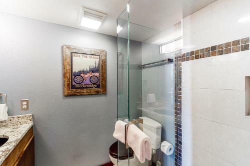 Pitkin Townhome B1