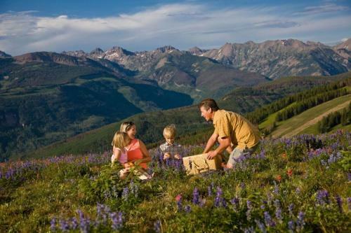 Treehouse H-104 - Wildernest