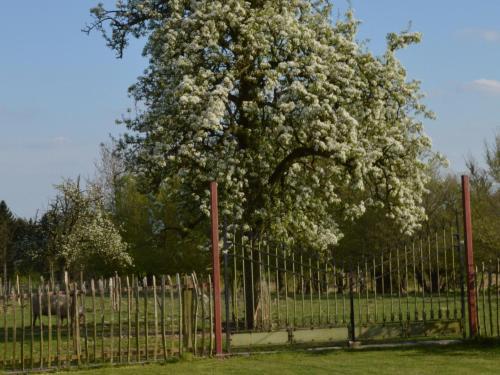 Holiday Home Het Leemhof Vloesberg