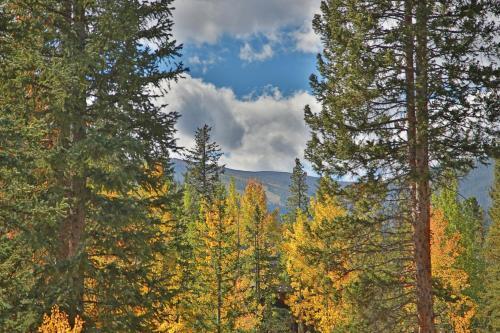 Timber Lake Way 491