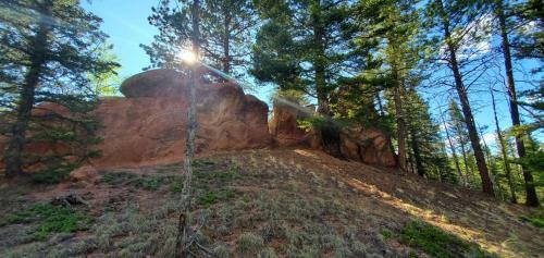 Enjoy Seclusion And Serenity At The Retreat