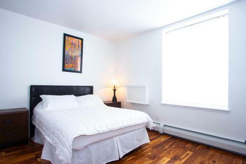 Kasa New Haven Apartments Near Yale University