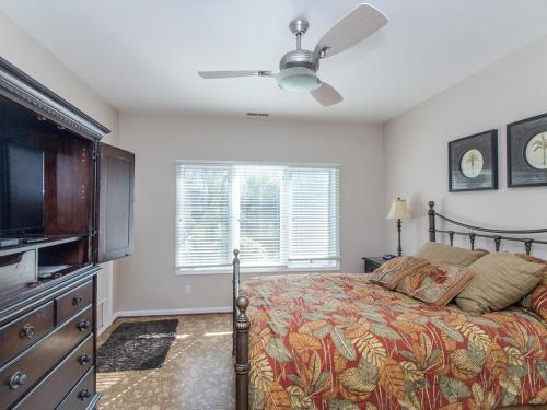 Sea Colony - 56032 Great Pine