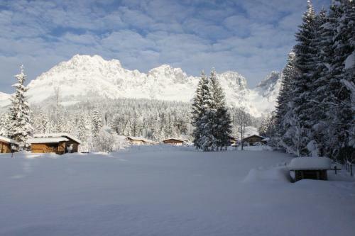 Hostal Pension Apartment Steiner