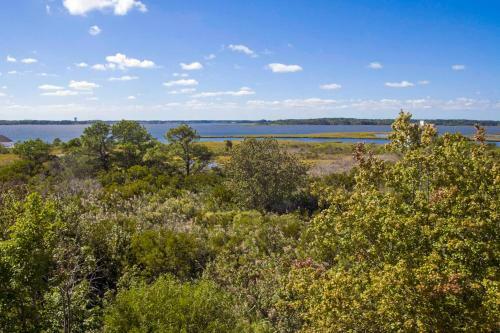 Salt Meadows - 40142 Salt Meadows