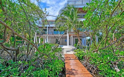 Sail Away By Ami Locals