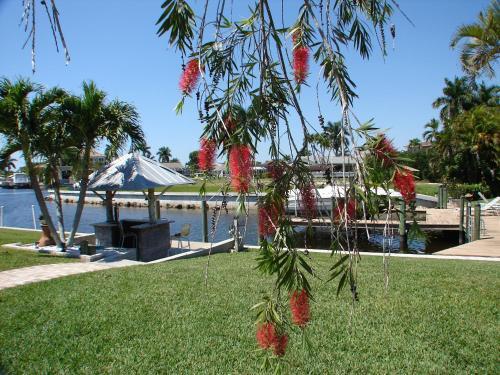 Waterfront Villa Sunset Cove - South Cape Id 109
