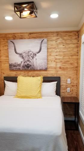 Camptel Resort Cedar Key