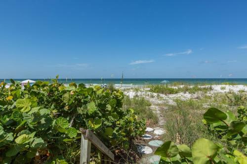 Coastal Dream Beach House Home