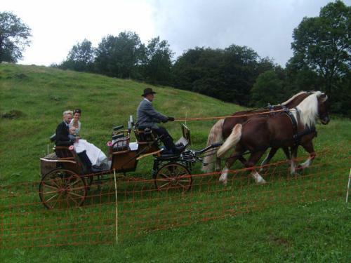 Apartamento G�stehaus Bischof
