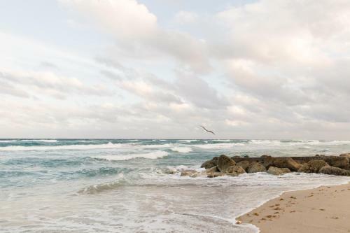 Apartamento Sparkling Getaway - Walk To Deerfield Beach & Eats! Apts