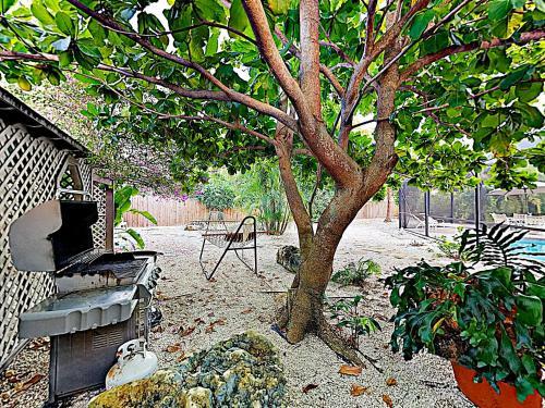 Tropical Oasis - 3 Minutes To Beach Home