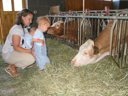 Agroturismo Familienferienhof Stabauer