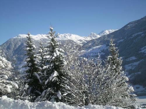 Apartment Aschau Im Zillertal 1