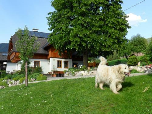 Agroturismo H�ttst�dterhof Familie P�tsch