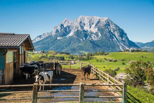 Agroturismo H�ttst�dterhof Familie P�tsch