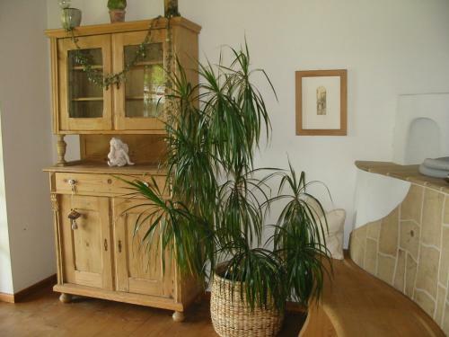 Apartamento Ferienwohnung Am Pflanzgarten