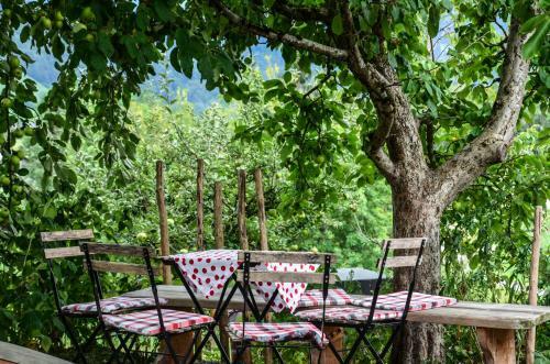 Bed & Breakfast Familienbauernhof K�ss