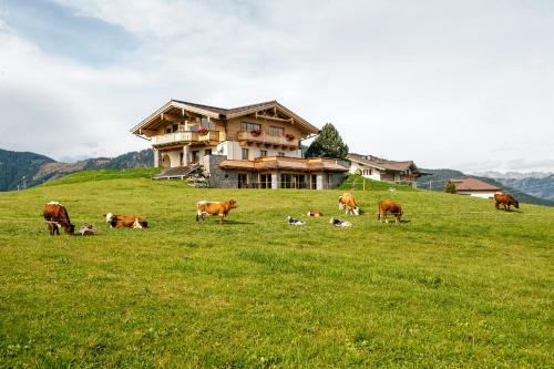 Hotel-berggasthof Winterbauer