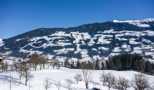 Hostal Pension Platzer