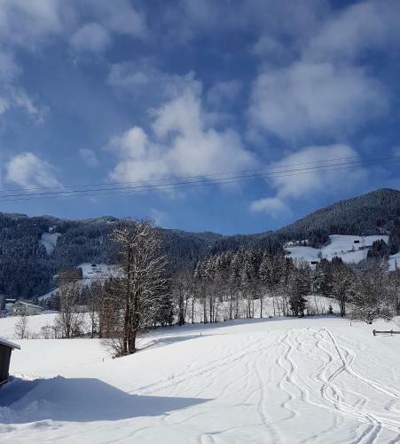 Hostal Pension Platzer