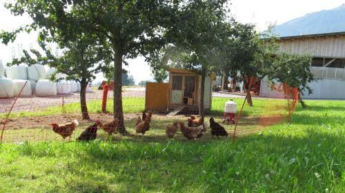 Agroturismo Hof Unterhuben