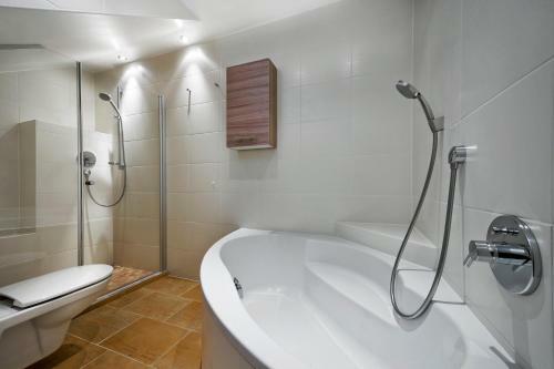 Chalet &amp; Apart Hochf�gen