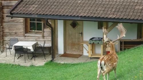 Apartamento Bauernhaus & Appartement Goldschmied