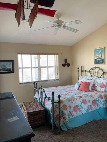 Pirates Cove By Gulf Life