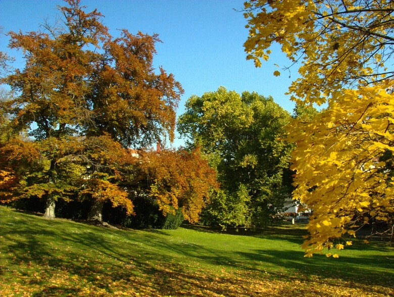 Hotel Best Western Premier Kinsky Garden