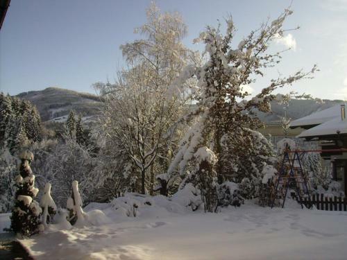 Apartamento Ferienapartment Frahndl