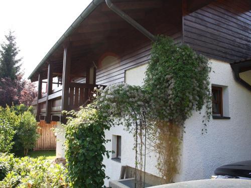 Holiday Home Josien Goldegg I