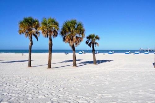 Apartamento Affordable Beach Condos - One Bed Budget With Full Kitchen Condo