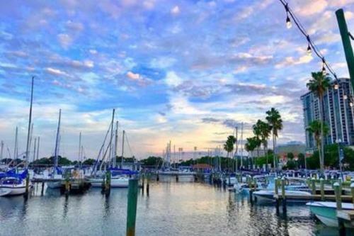 Apartamento St Pete Vacation Rentals