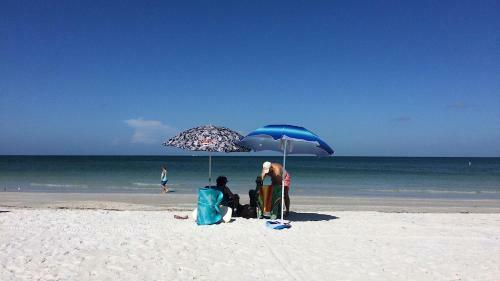 Apartamento St Pete Vacation Rentals