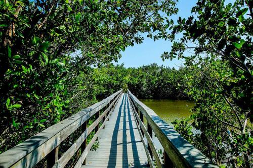 Hidden Gem Resort Condo Perfect For Sunsets & Shells - Blind Pass G102